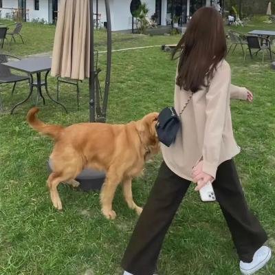 骇故事之无罪日